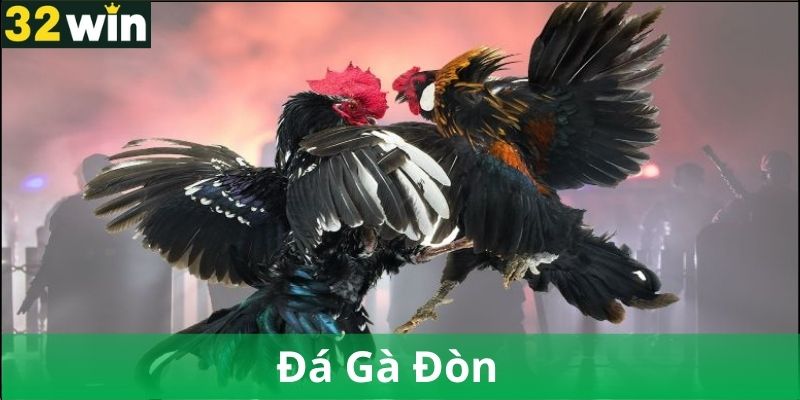 Nguồn Gốc Và Lịch Sử Đá Gà Đòn